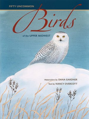 cover image of Fifty Uncommon Birds of the Upper Midwest